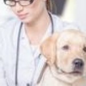 doctor with dog